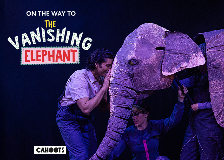 More Info for The Vanishing Elephant